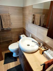 ein Badezimmer mit einem weißen Waschbecken und einem WC in der Unterkunft Casa de vis in Braşov