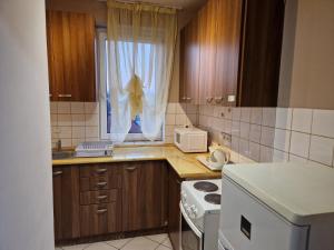 Una pequeña cocina con fregadero y ventana. en Márti 3 Bedroom Apartment, en Debrecen