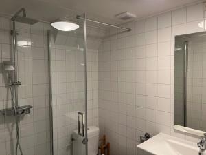een badkamer met een douche, een toilet en een wastafel bij Appartement centrum Leeuwarden in Leeuwarden