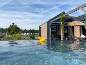 anatra di gomma seduta sul bordo della piscina di Buitengoed de Boomgaard Utrecht - Bunnik a Bunnik