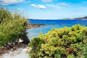 Gallery image of Hotel Baia Aranzos in Pittulongu +17 photos