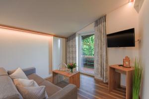 uma sala de estar com um sofá, uma televisão e uma janela em Alpenhof Ferienwohnungen em Oberstaufen