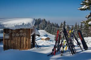 a group of skis and snowboards next to a cabin at Alpenhof Ferienwohnungen in Oberstaufen