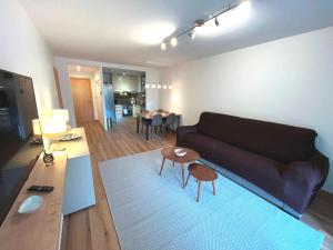 TV a/nebo společenská místnost v ubytování P&C Areny