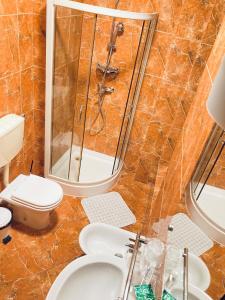 a bathroom with a shower and a toilet and a sink at Tania-Frankfurt Hotel in Bucharest