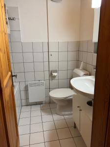 Hotel und Restaurant Alpina衛浴
