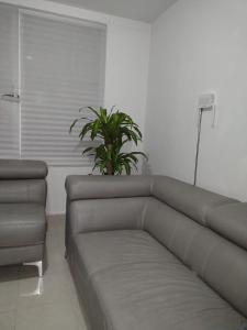 een woonkamer met een bank en een plant bij Piso entero, cómodo y moderno in Mexico-Stad