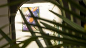 Fotografie z fotogalerie ubytování Hostal Campo Nuevo v destinaci Sanlúcar de Barrameda
