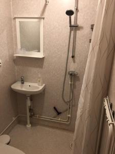 a bathroom with a shower and a toilet and a sink at Vasacenter B&B in Transtrand