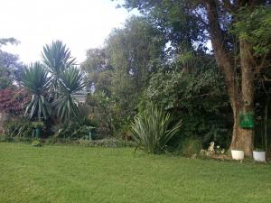 un patio verde con árboles y césped en 2 bed guesthouse in Mabelreign - 2012 en Harare