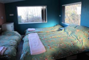 1 dormitorio con 2 camas individuales y ventana en Redwood Lodge, Dee Valley Stays - cosy microlodge with detached private shower & WC en Corwen