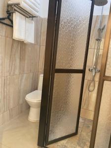 El baño incluye ducha con puerta de cristal y aseo. en Villa Garita Inn, en La Garita