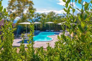 una imagen de una piscina con sombrillas en Vista Allegra Pagoda - Villa con piscina en Colonnella