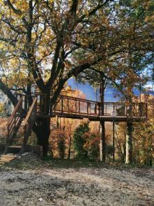 un puente de madera en un parque con un árbol en B&B Colle di Terria Country House, en Contigliano