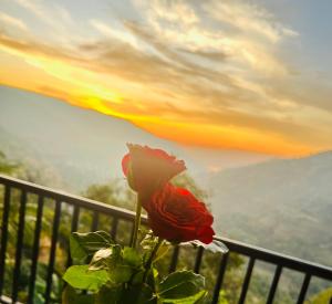 a red rose sitting on a fence with a sunset at Kalasita in Mahabaleshwar