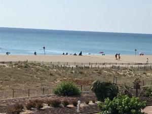 Naturlandskabet i nærheden af lejligheden