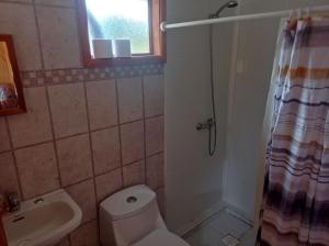 a bathroom with a toilet and a shower and a sink at Cabaña Kiñeco y tinaja in Melipeuco