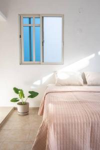 a bedroom with a bed and a window and a potted plant at Casa Medina in Chetumal