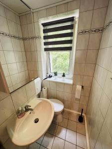 a bathroom with a sink and a toilet and a window at Cosy Apartment I 5Beds I Near VW in Glauchau