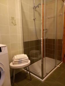 La salle de bains est pourvue d'une douche avec tabouret et de toilettes. dans l'établissement Appartamento Marco, à Bormio