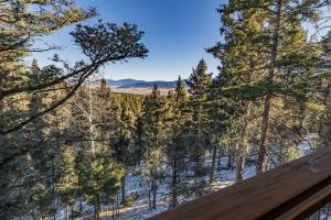 Gallery image of RidgeWalk Treehouse in Angel Fire