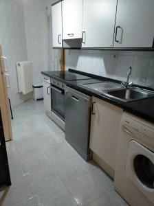 a kitchen with a sink and a dishwasher at Best Biescas Tourist Home in Biescas