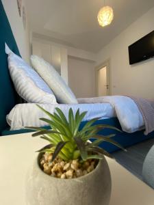 een potplant op een tafel in een slaapkamer bij Q Apartament Loft place near Palas Mall in Iaşi