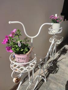 two potted plants on a bike with a basket at Apartment with pool in the mountains. in Alicante