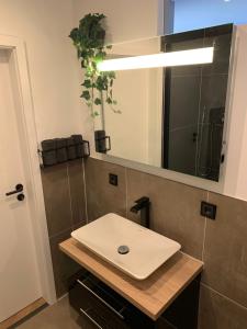 a bathroom with a white sink and a mirror at Ebbe&Flut in Bremerhaven