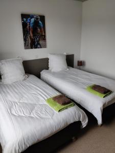 two beds sitting next to each other in a room at Flandrien Hotel in Brakel