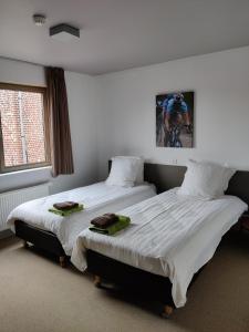 twee bedden naast elkaar in een slaapkamer bij Flandrien Hotel in Brakel