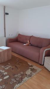 a couch in a living room with a dog laying on it at Apartment Gajevi in Zlatibor