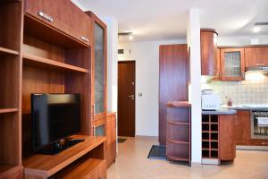 Kuchyňa alebo kuchynka v ubytovaní Apartament Granit