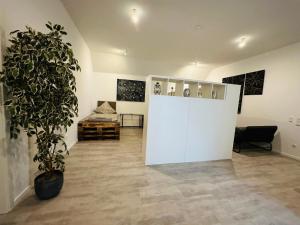 a room with a large plant and a white wall at Leitmike&Sun 4 in Greußenheim +2 photos