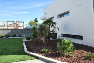 a white house with a palm tree in a yard at Villa Lemar in Urda