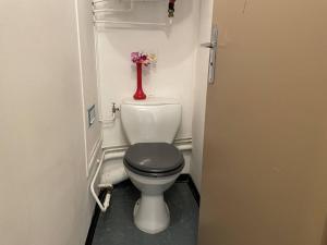 a small bathroom with a toilet with a black seat at Appartement Puy Saint Vincent 1400, 2 pièces, 4 personnes - FR-1-330G-30 in Puy-Saint-Vincent
