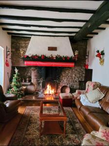 uma sala de estar com lareira e uma árvore de Natal em Casa Rural Betraunea em Sumbilla