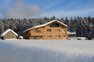 ein großes Holzgebäude im Schnee mit Bäumen in der Unterkunft Haus Feurstein in Hittisau