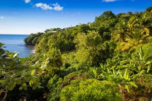 Gallery image of Casa del Vega a Little Peace of Heaven in Castries +43 photos