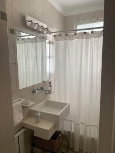 baño con lavabo y cortina de ducha en Cálido departamento en Palermo en Buenos Aires