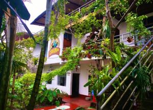 Zahrada ubytování VAGO HOSTEL