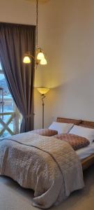 1 Schlafzimmer mit 2 Betten und einem Fenster in der Unterkunft TatraTravel VILA unlimited golf for 2 person incl in Tatranská Lomnica