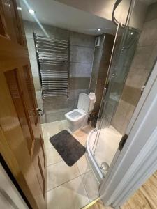 uma casa de banho com um chuveiro e um WC. em 2 bedroom apartment in HampdenRd em Londres