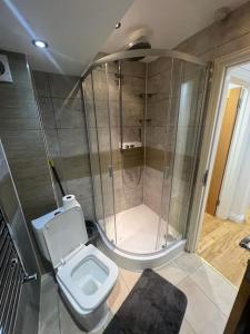 a bathroom with a shower and a toilet at 2 bedroom apartment in HampdenRd in London