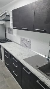 a kitchen with a sink and a counter top at Central Flat in Sighetu Marmaţiei