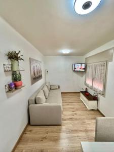 ein Wohnzimmer mit Couch und Fernseher in der Unterkunft Magnífico Apartamento en el Centro de Puigcerdá in Puigcerdà