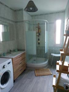 a bathroom with a shower and a washing machine at Appart hyper centre- Parking in Vierzon