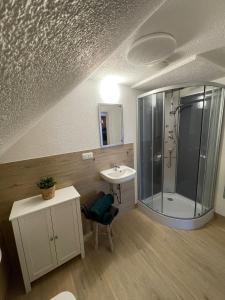 ein Bad mit einem Waschbecken und einer Dusche in der Unterkunft Spiegelslust-Apartments in Marburg an der Lahn