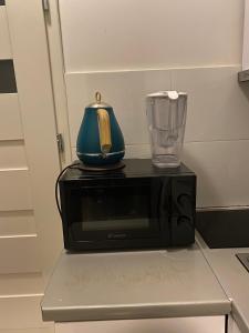 a microwave with a vase and a glass on top at Komfort na Tamce,parter, niedaleko starówki, Powiśle in Warsaw