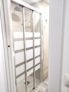 een douche met een glazen deur in de badkamer bij Acogedor apartamento familiar en área residencial in Madrid